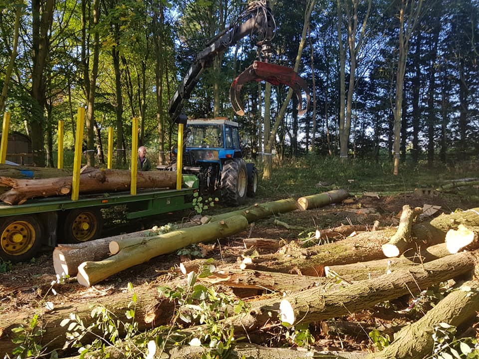 Top Tree Fella's hard at work - Royston and surrounding villages